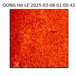 gong - 2025-03-08T01:00:42