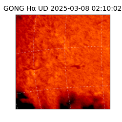 gong - 2025-03-08T02:10:02