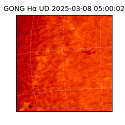 gong - 2025-03-08T05:00:02