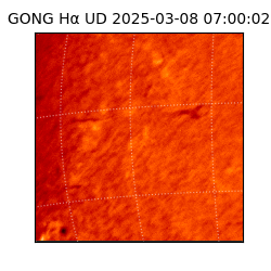 gong - 2025-03-08T07:00:02