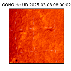 gong - 2025-03-08T08:00:02