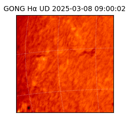 gong - 2025-03-08T09:00:02