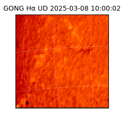 gong - 2025-03-08T10:00:02