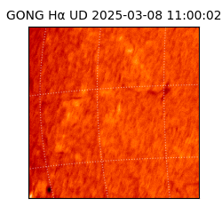 gong - 2025-03-08T11:00:02
