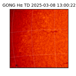 gong - 2025-03-08T13:00:22