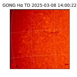 gong - 2025-03-08T14:00:22