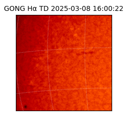gong - 2025-03-08T16:00:22