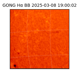 gong - 2025-03-08T19:00:02