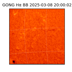 gong - 2025-03-08T20:00:02
