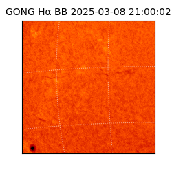 gong - 2025-03-08T21:00:02