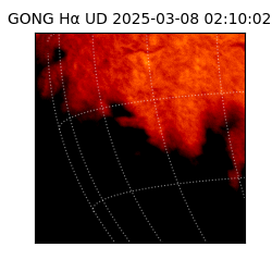 gong - 2025-03-08T02:10:02