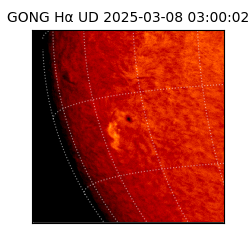 gong - 2025-03-08T03:00:02