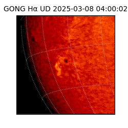 gong - 2025-03-08T04:00:02