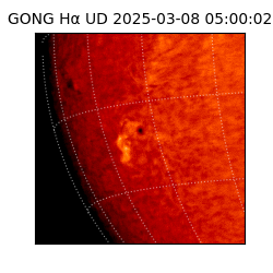 gong - 2025-03-08T05:00:02