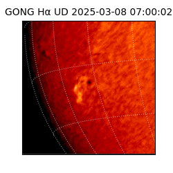 gong - 2025-03-08T07:00:02