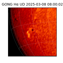 gong - 2025-03-08T08:00:02