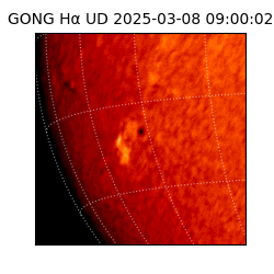 gong - 2025-03-08T09:00:02