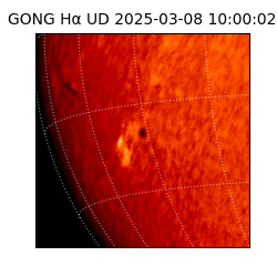 gong - 2025-03-08T10:00:02