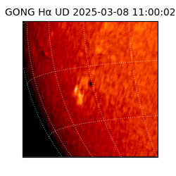 gong - 2025-03-08T11:00:02