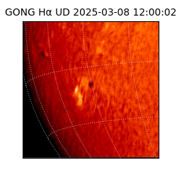 gong - 2025-03-08T12:00:02