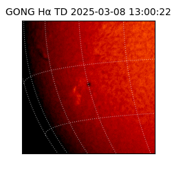 gong - 2025-03-08T13:00:22
