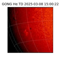 gong - 2025-03-08T15:00:22