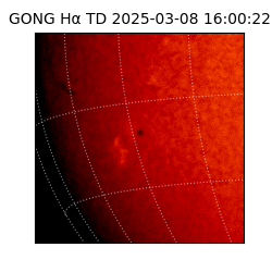 gong - 2025-03-08T16:00:22