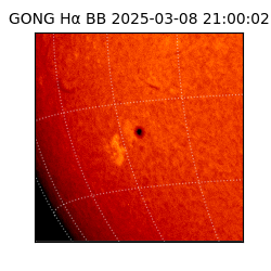 gong - 2025-03-08T21:00:02