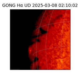 gong - 2025-03-08T02:10:02