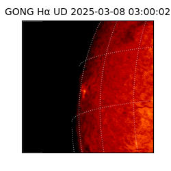 gong - 2025-03-08T03:00:02