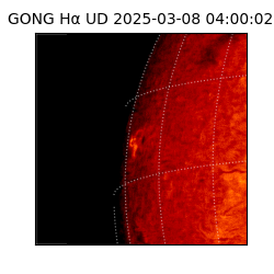 gong - 2025-03-08T04:00:02