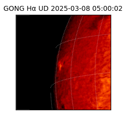 gong - 2025-03-08T05:00:02
