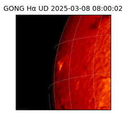 gong - 2025-03-08T08:00:02