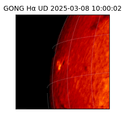 gong - 2025-03-08T10:00:02