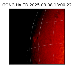 gong - 2025-03-08T13:00:22