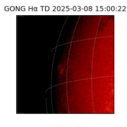 gong - 2025-03-08T15:00:22