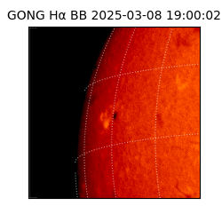 gong - 2025-03-08T19:00:02