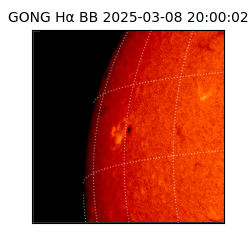 gong - 2025-03-08T20:00:02