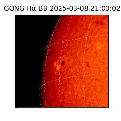 gong - 2025-03-08T21:00:02