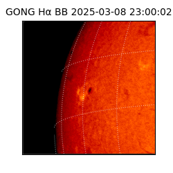 gong - 2025-03-08T23:00:02