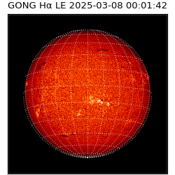 gong - 2025-03-08T00:01:42