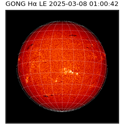 gong - 2025-03-08T01:00:42