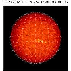 gong - 2025-03-08T07:00:02