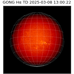 gong - 2025-03-08T13:00:22