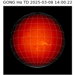 gong - 2025-03-08T14:00:22