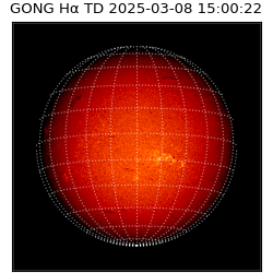 gong - 2025-03-08T15:00:22