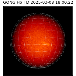 gong - 2025-03-08T18:00:22