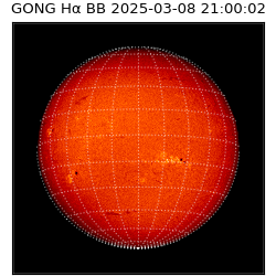 gong - 2025-03-08T21:00:02