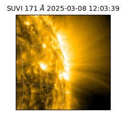 suvi - 2025-03-08T12:03:39.231000