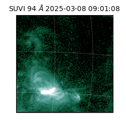 suvi - 2025-03-08T09:01:08.796000